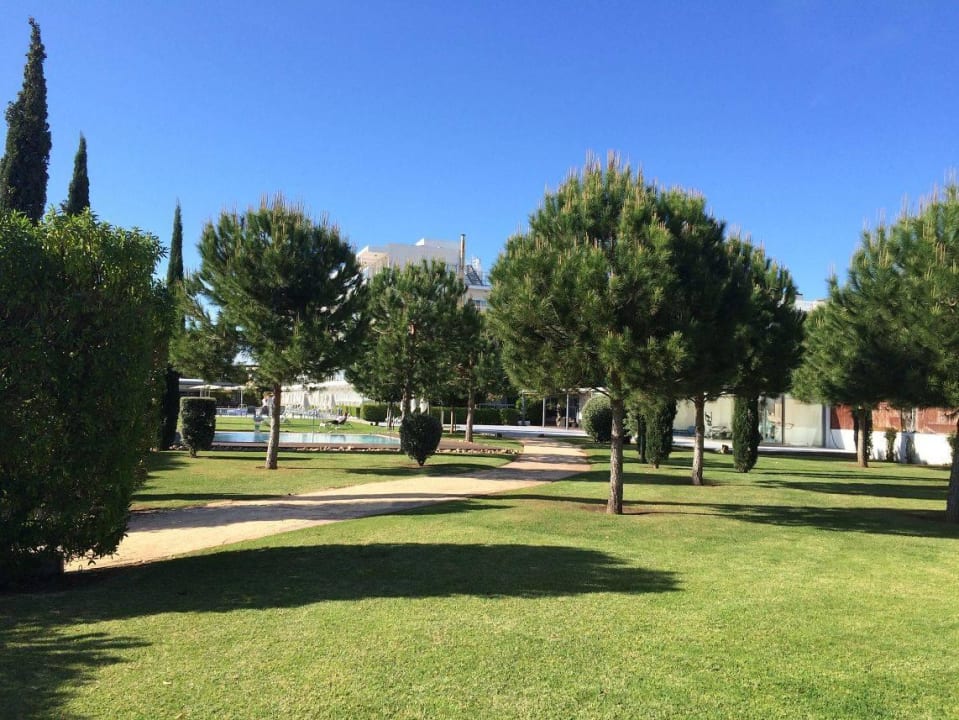 Liegewiese und Ruhebereich Las Gaviotas Suites Hotel