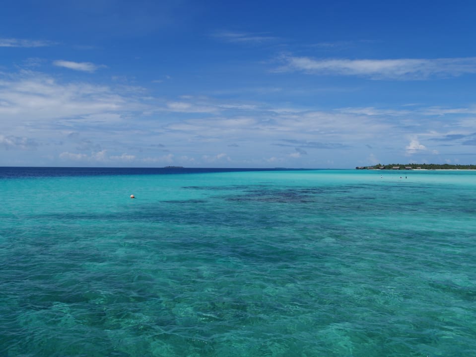 Strand Summer Island Maldives