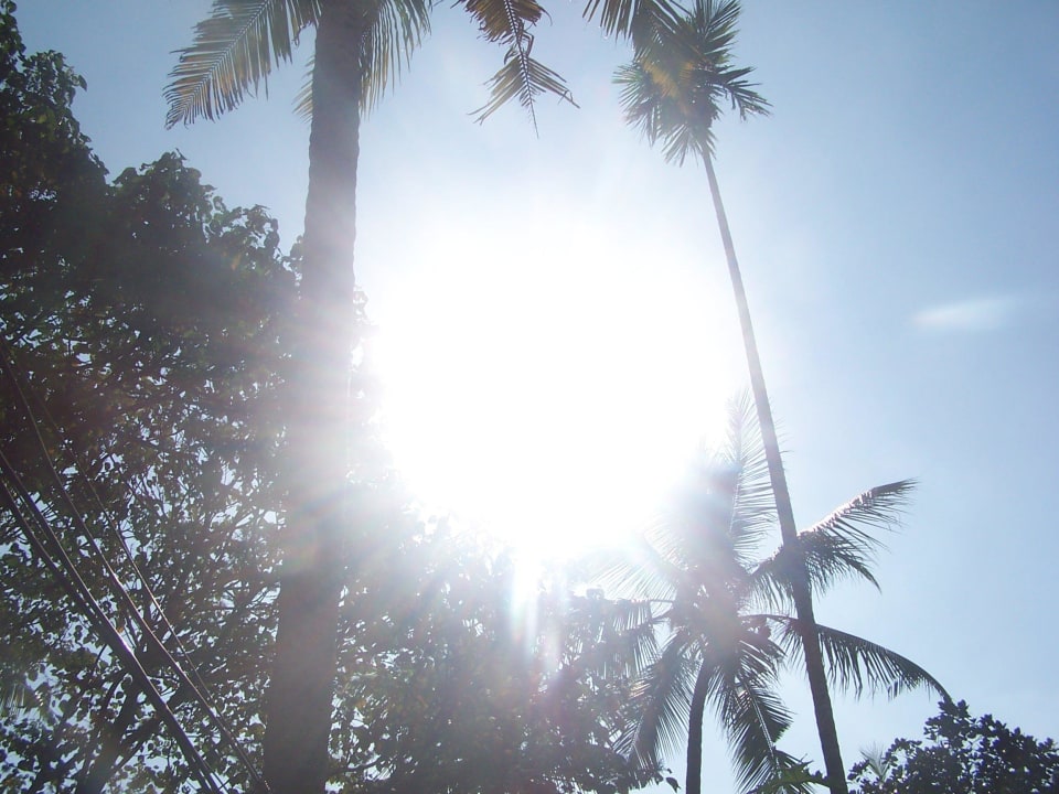 Strahlender Sonnenschein ELDC Dreamcatcher House