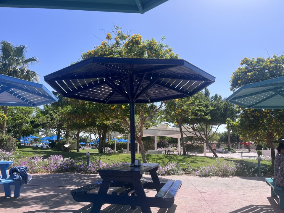 Gartenanlage Desert Rose