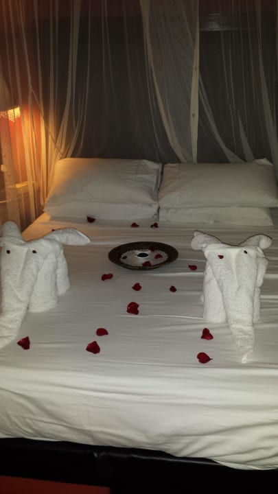 Zimmer Guesthouse Botsebotse Bush Retreat