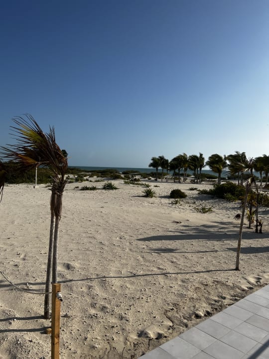 Strand Hotel Riu Latino - Adults Only