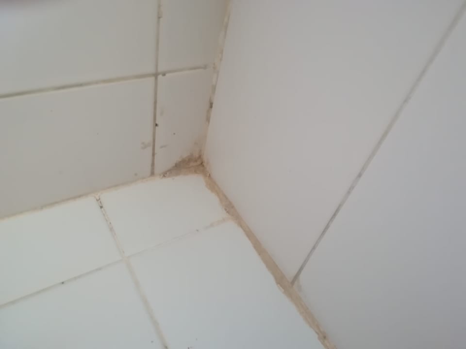 Zimmer Paradise Bay Resort Hotel