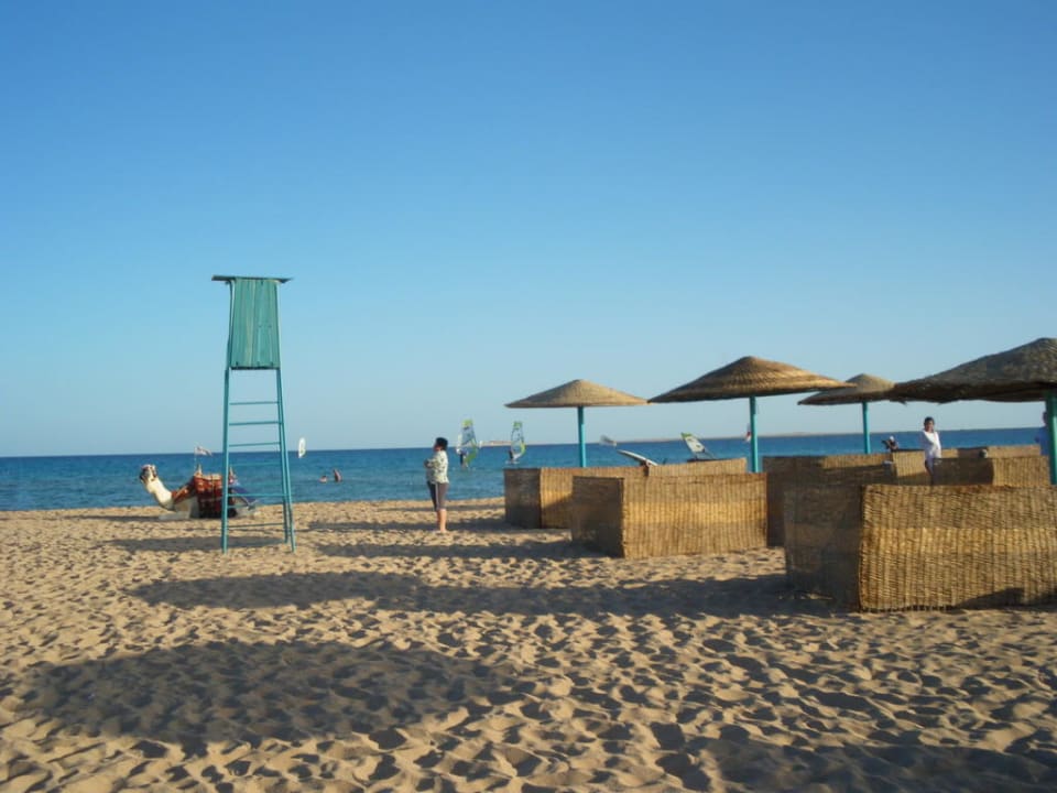 Sehr schöner Strand Shams Safaga Resort