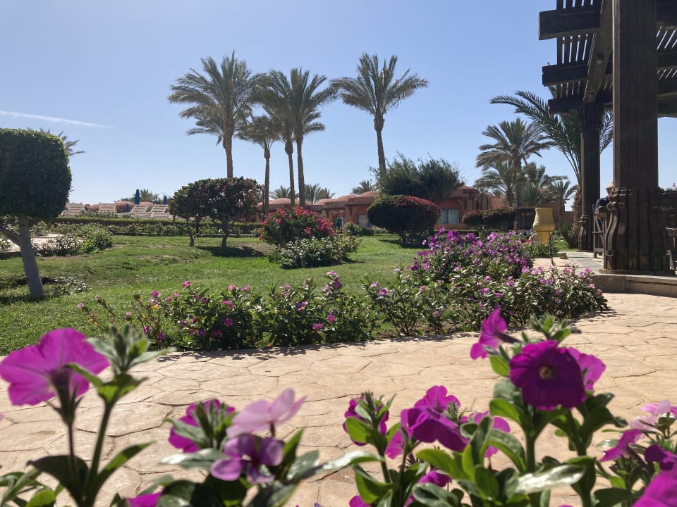 Gartenanlage Swisstouch Oriental Resort Marsa Alam