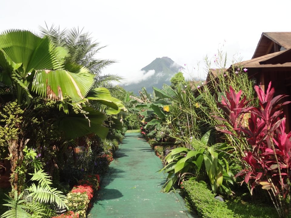 Hotel with beautiful gardens Hotel Arenal Montechiari