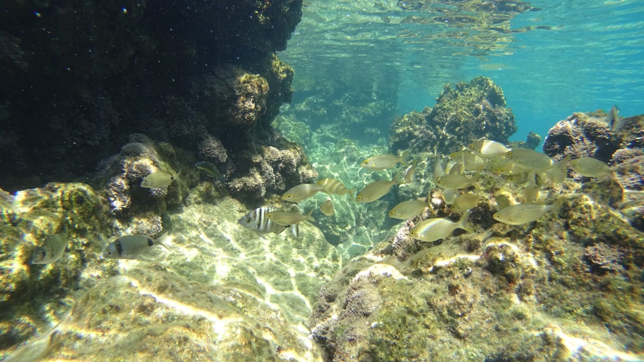 Sport & Freizeit Porto Galini