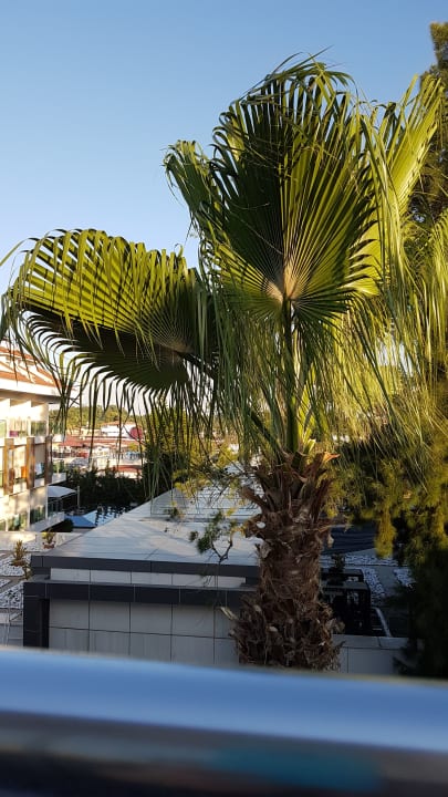 Ausblick Trendy Side Beach Hotel - Adults only