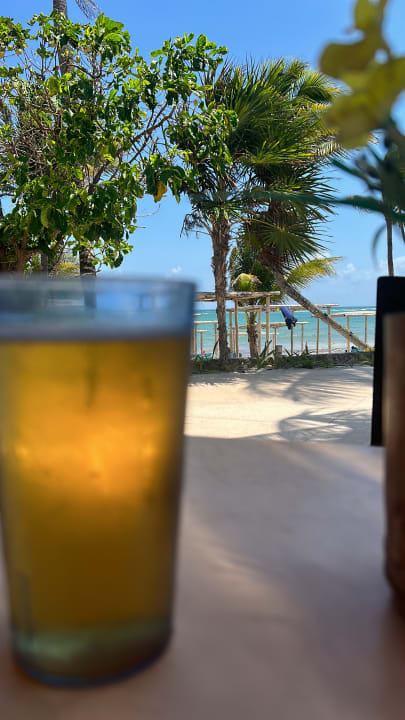 Gastro Akumal Bay Beach & Wellness Resort