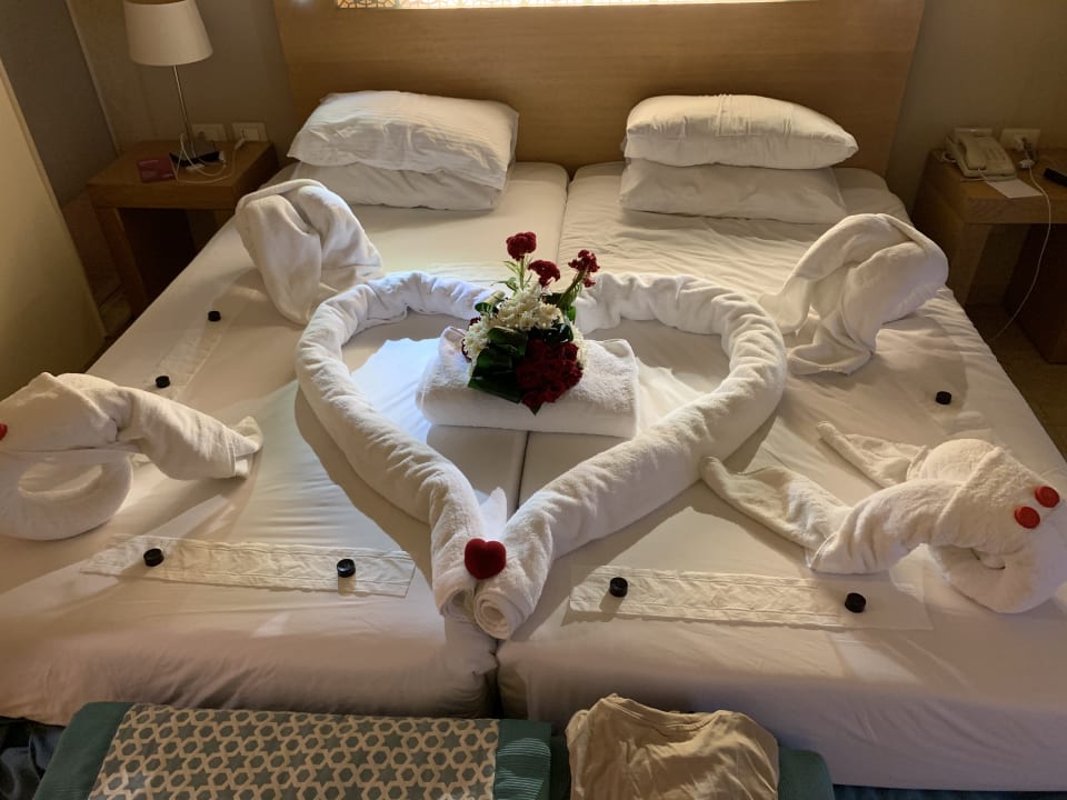 Zimmer Mövenpick Waterpark Resort & Spa Soma Bay