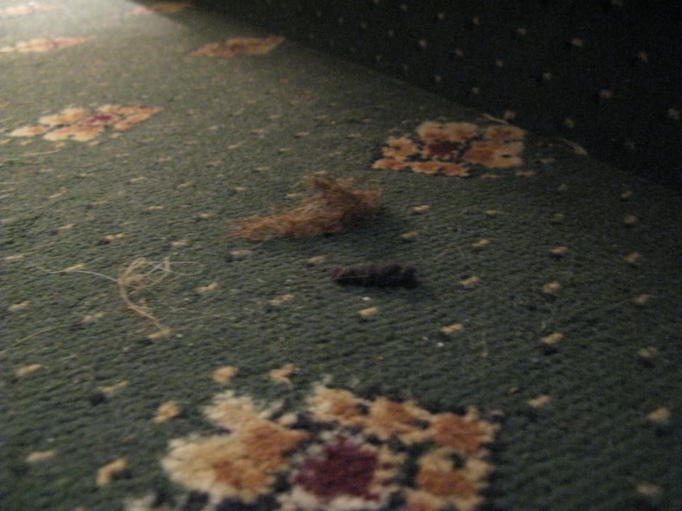 Auch vergessen ? Hotel Gondel