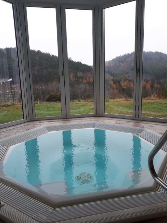 Pool Zedernhof Gesundheits- & Wellnesshotel