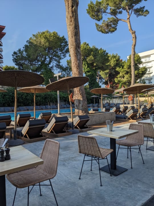Gastro Caramelo Palma Beach