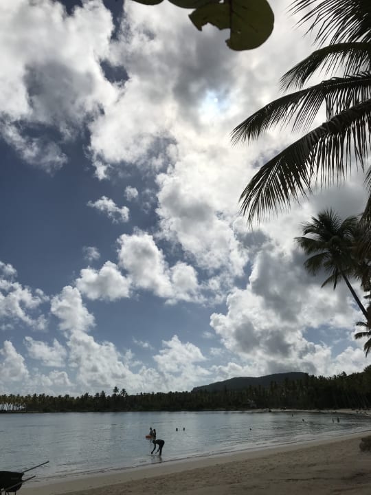 Strand Wyndham Alltra Samana