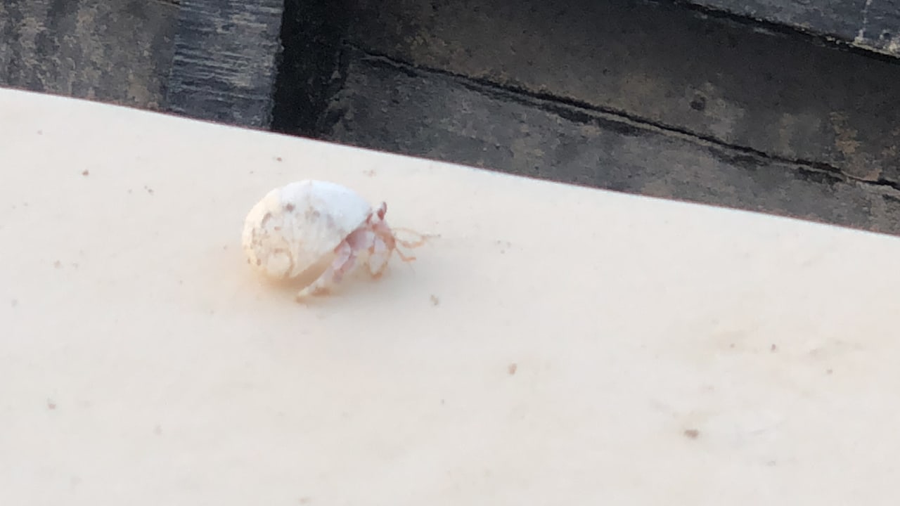 Sonstiges Casa Mare Resort