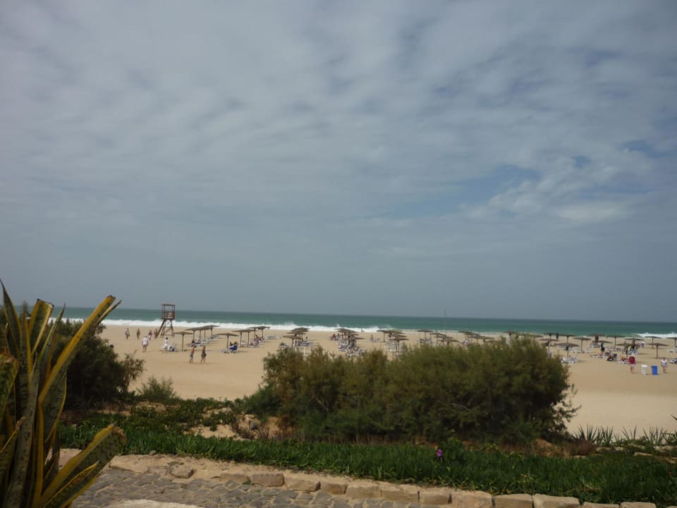 Blick von der Beachbar auf den Strand Occidental Boa Vista Beach