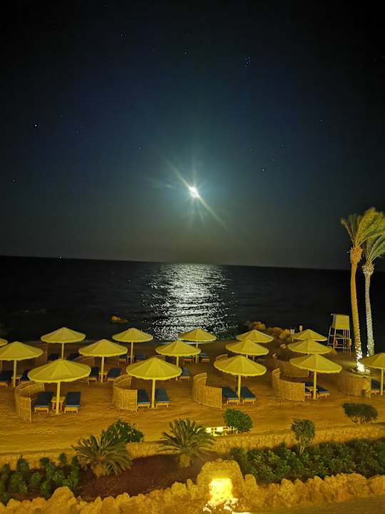 Ausblick Pickalbatros Citadel Resort