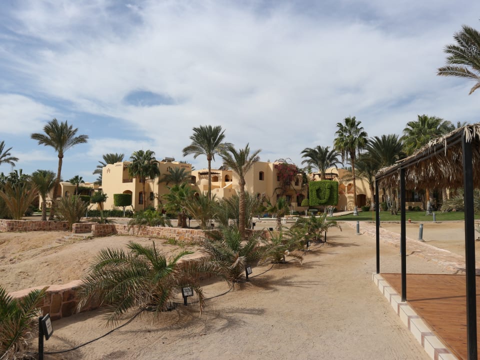 Gartenanlage Steigenberger Coraya Beach - Adults only