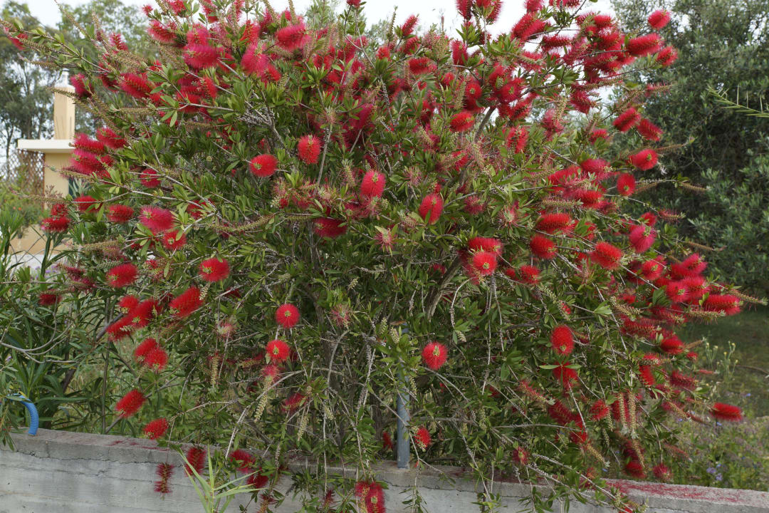 Einfach schööön Nefeli Hotel Rethymno