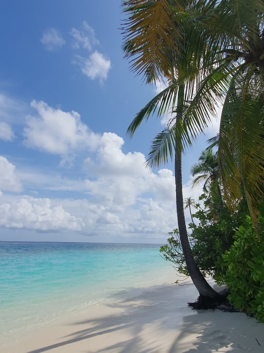 Strand Mirihi Island Resort