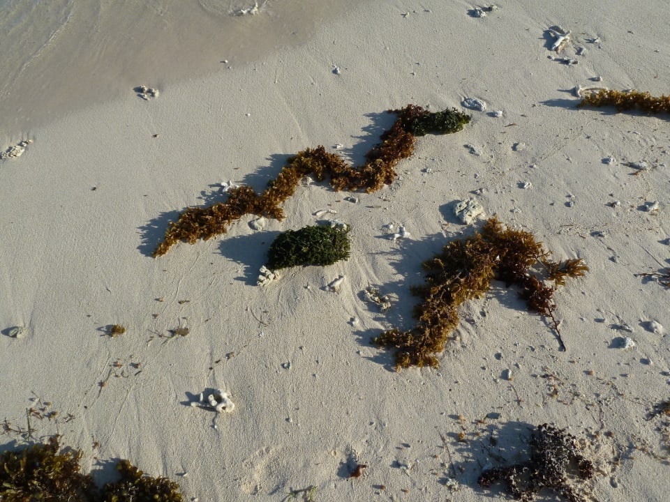 Sonstiges Friday Attitude