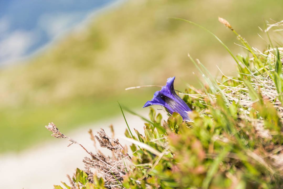 Naturgenuss Genießer- & Wanderhotel Jägerhof