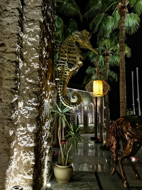 Außenansicht Pickalbatros Citadel Resort