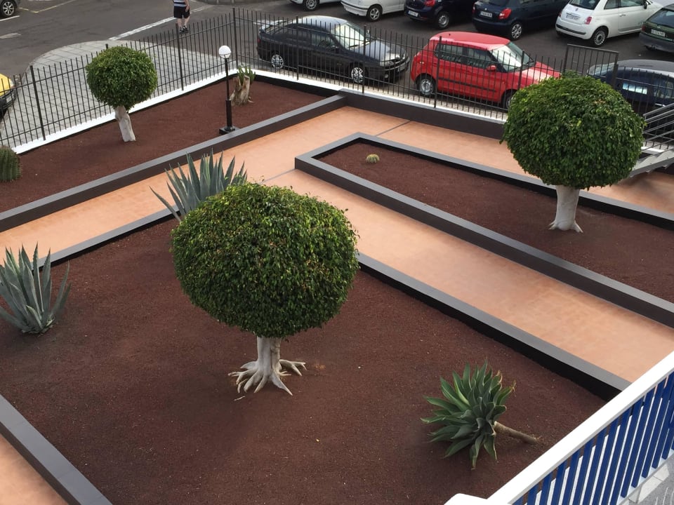 Garten Ereza Apartamentos Los Hibiscos- Adults Only