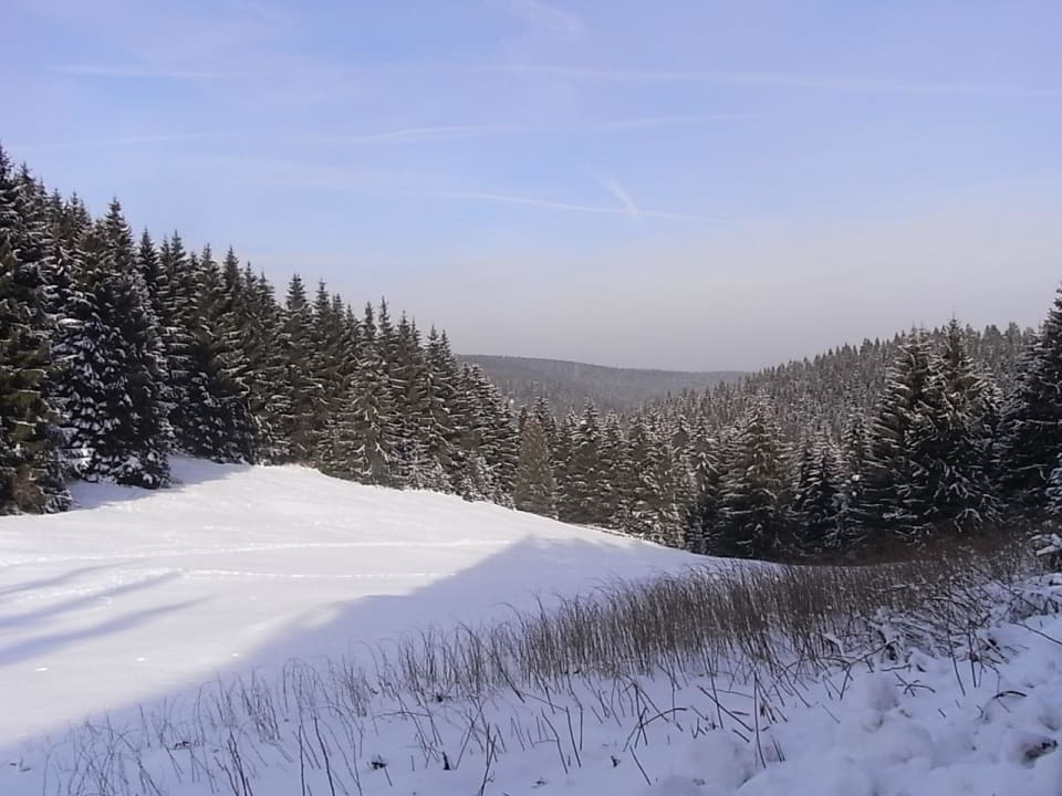 So schön ist der Harz im Winter! Hotel Rathaus