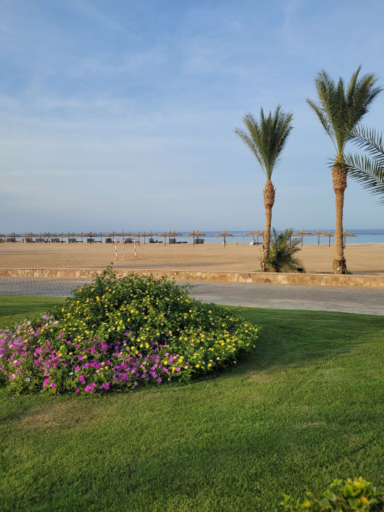 Strand Novotel Marsa Alam Beach Resort