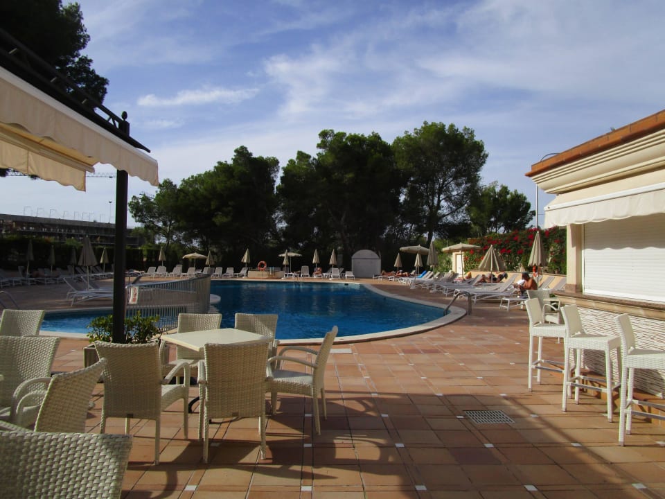 Pool Grupotel Orient