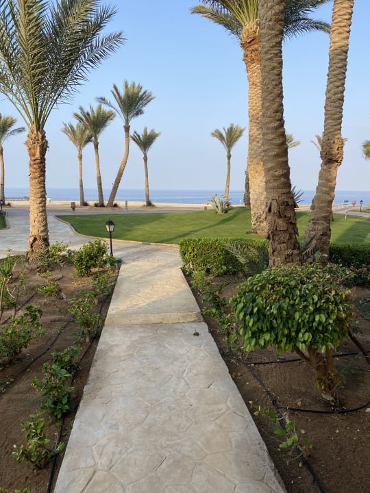 Außenansicht Steigenberger Coraya Beach - Adults only