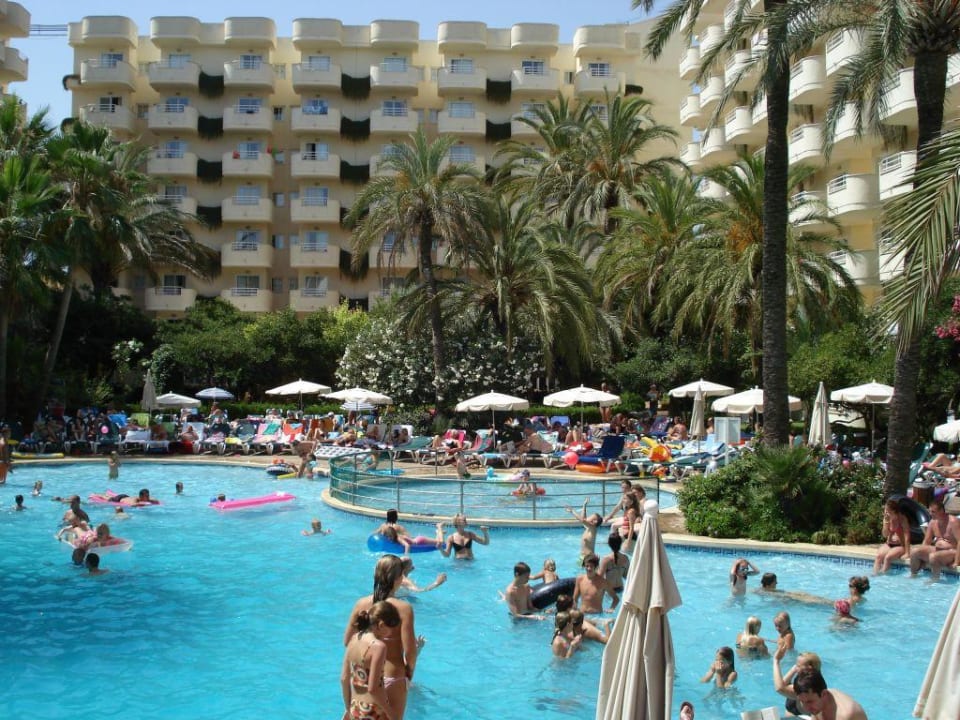 Pool Protur Palmeras Playa Aparthotel