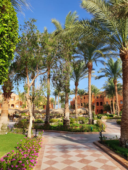Außenansicht Jaz Makadi Oasis Resort