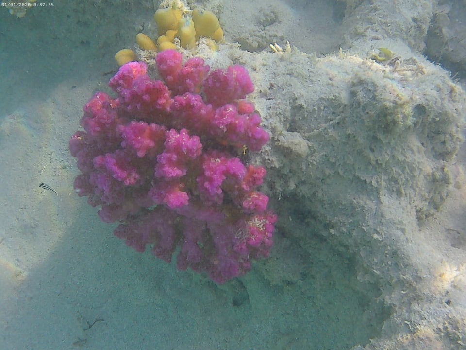 Strand Steigenberger Aqua Magic