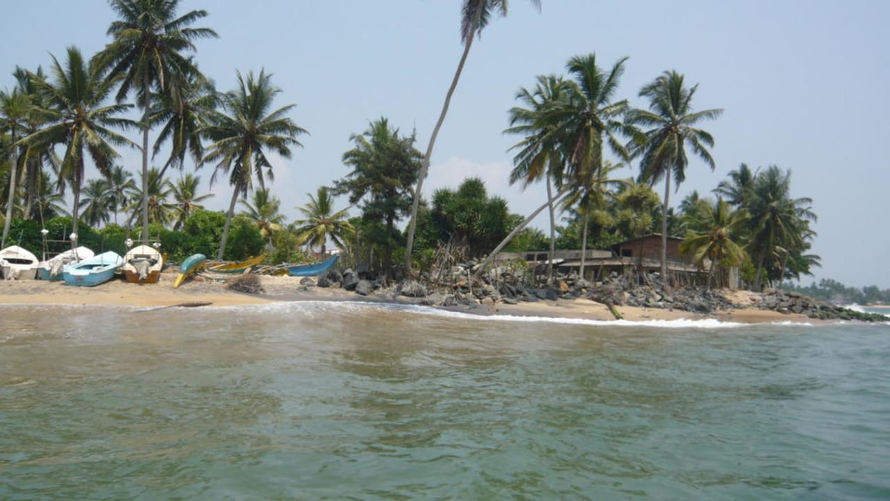 Beachboy-Treff Earl’s Reef Beruwala