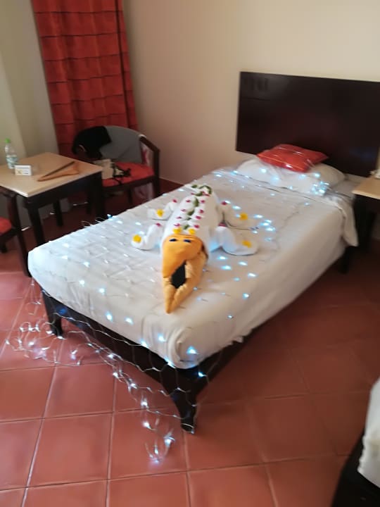 Zimmer Three Corners Sea Beach Resort