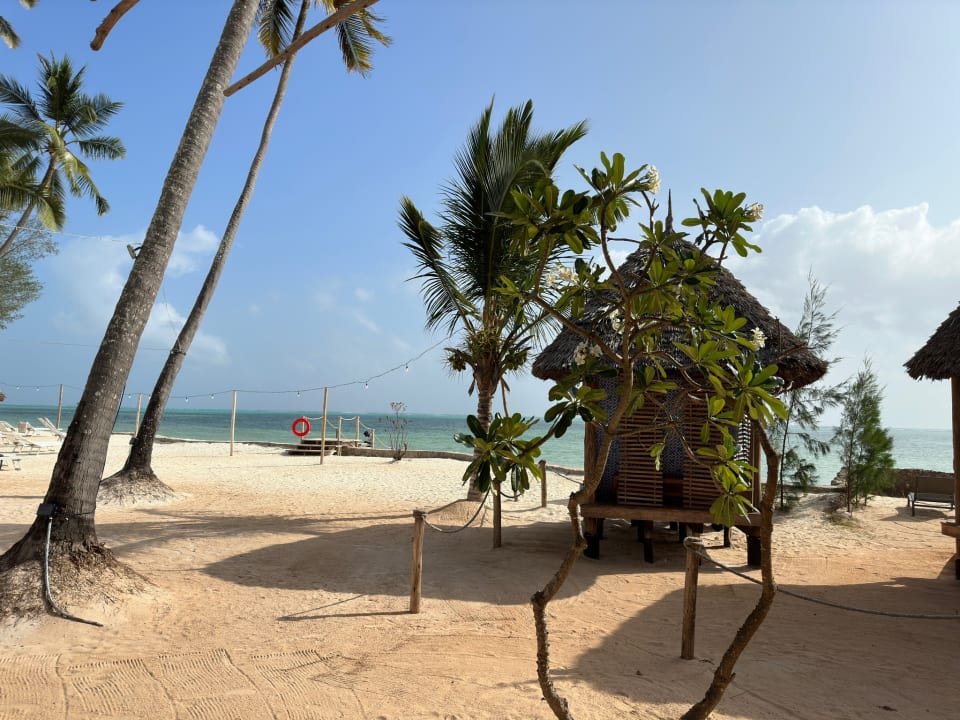 Strand TUI Blue Bahari Zanzibar