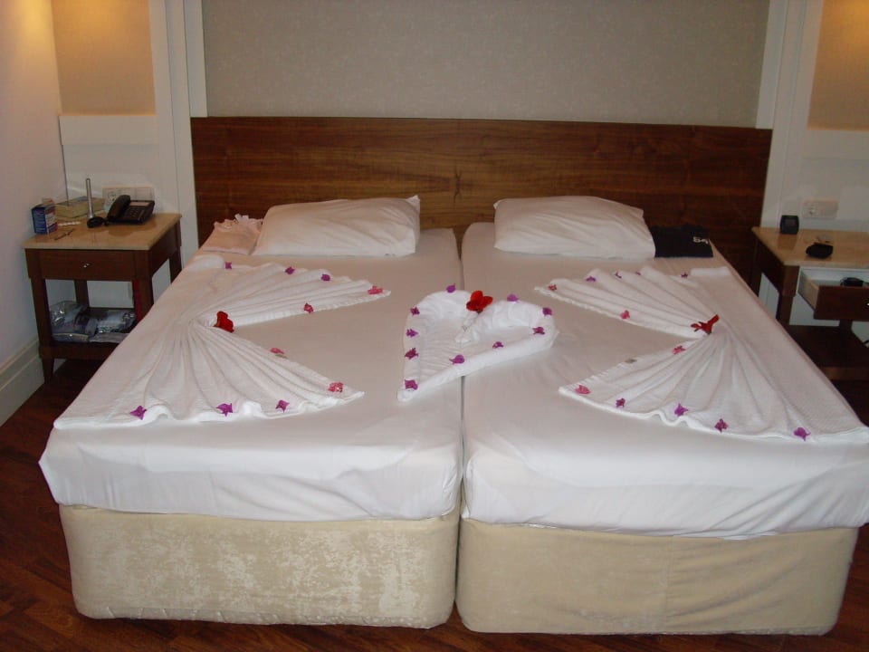 Nette Putzfrau Alba Queen Hotel