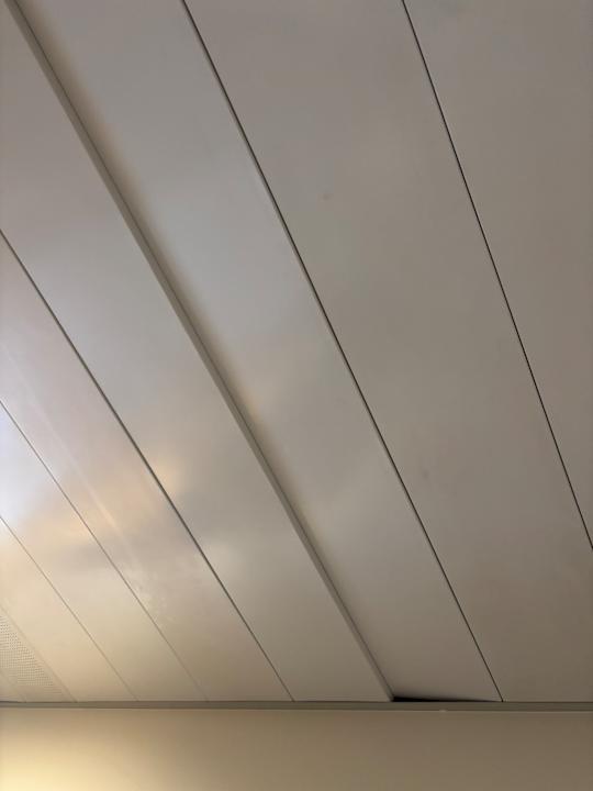 Zimmer JAZ Elite Asteria