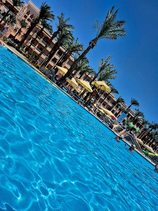 Pool Pickalbatros Palace Resort