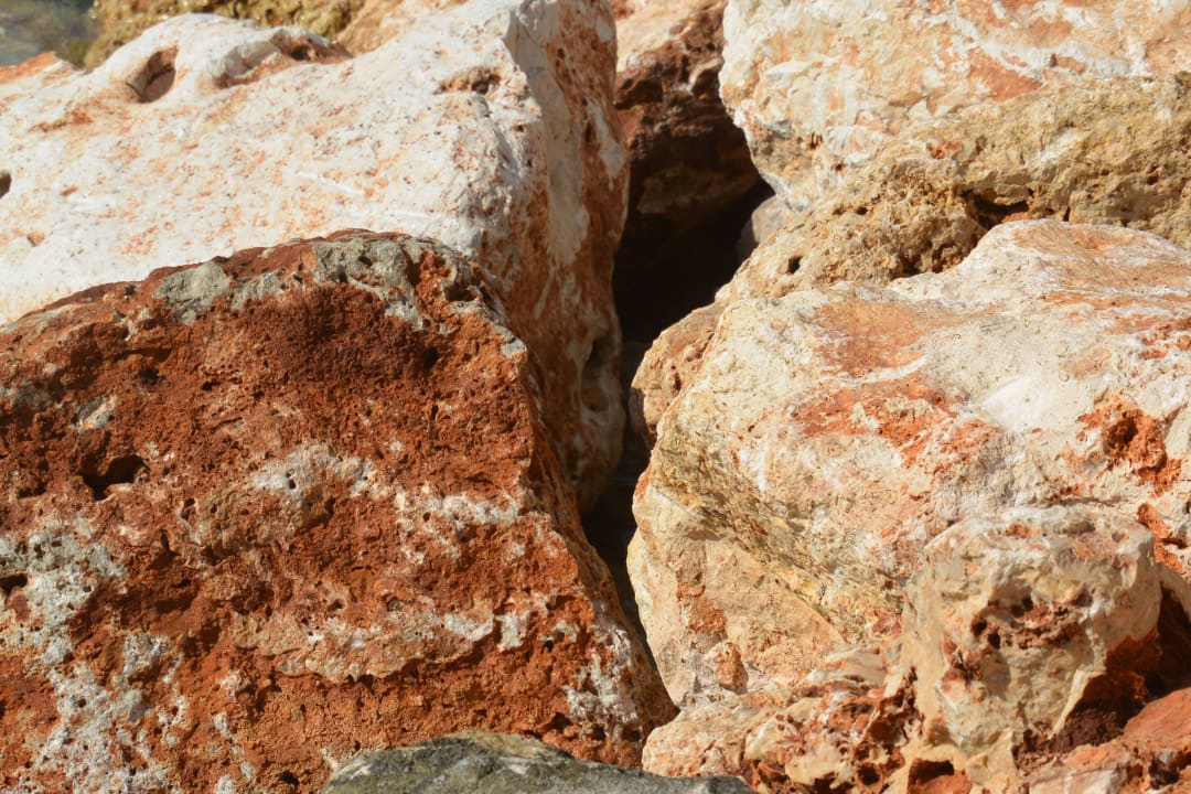 Gartenanlage R2 Lago Playa Park