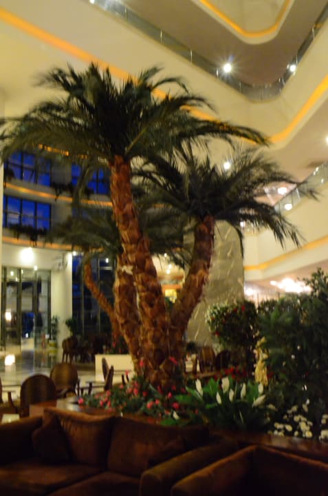 Lobby Saphir Resort & Spa