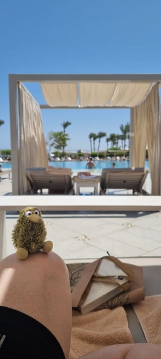 Pool Steigenberger Alcazar