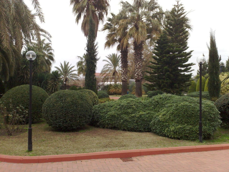 Garten Side Star Elegance