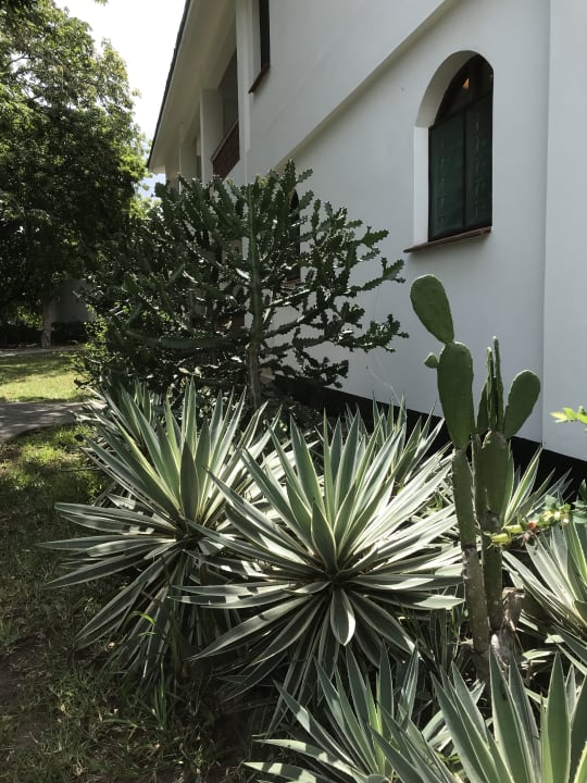 Gartenanlage Hotel Diani Sea Lodge