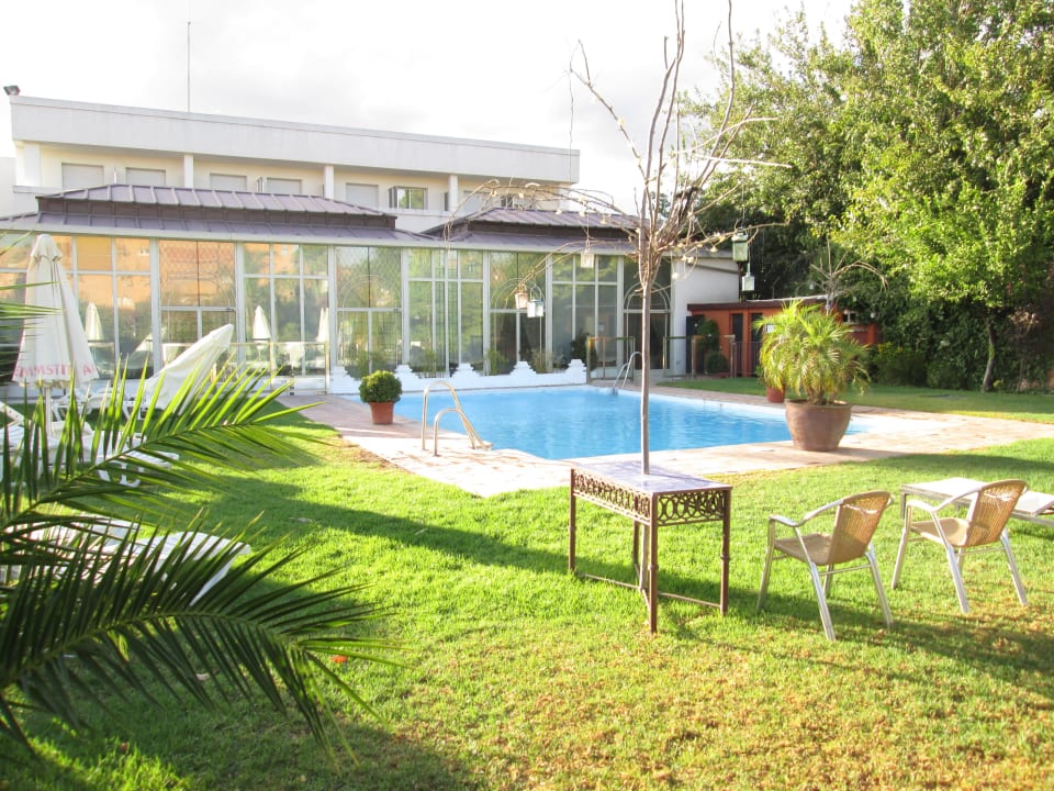 Hotelgarten mit Pool Hotel Oasis