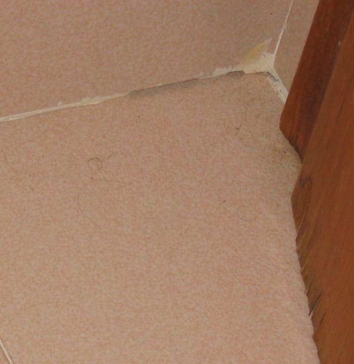 Das Badezimmer nach der Reinigung blau punta reina