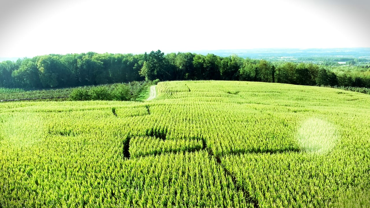 Sonstiges Gut Hügle Erlebnisbauernhof