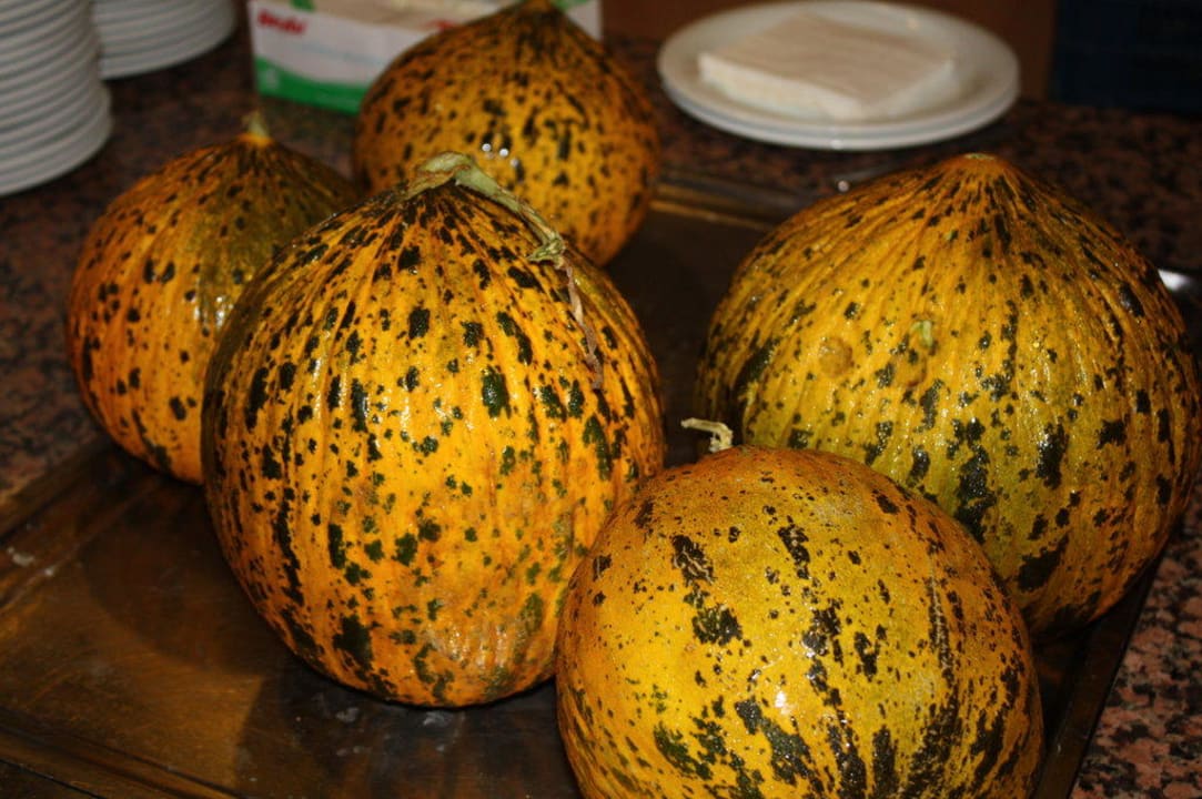 Club Ali Bey Manavgat Ali Bey Club